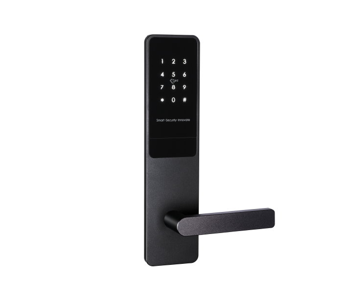 Modern Residential Smart Lock LC508